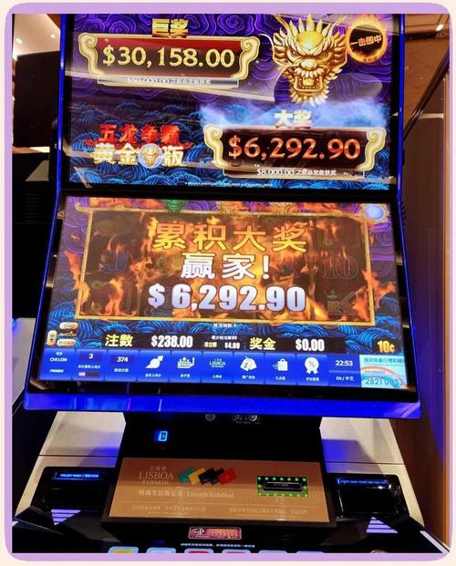 PA电游宠物乐园入口app带来宠物养成与电游娱乐轻松体验
